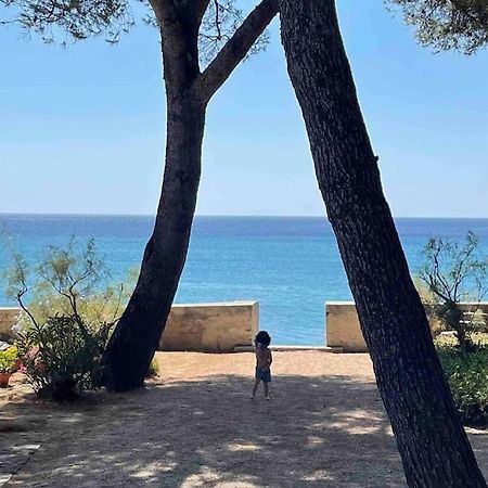 Cocon Les Pieds Dans L'Eau Acces Direct A La Mer Λα Σιοτά Εξωτερικό φωτογραφία