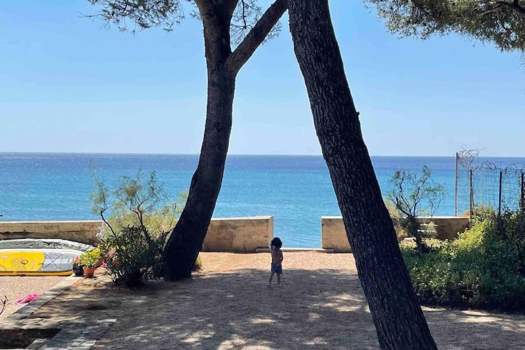 Cocon Les Pieds Dans L'Eau Acces Direct A La Mer Λα Σιοτά Εξωτερικό φωτογραφία